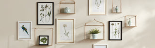 Wall Decor & Shelving