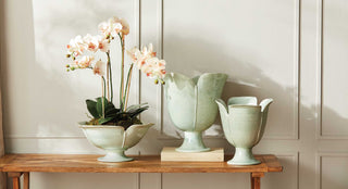 Curated Drop-Ins & Pots to Mix & Match