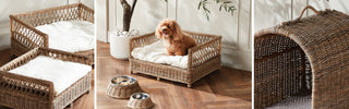 Pet Beds & Accessories