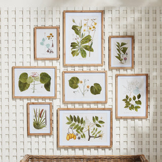 Framed Prints