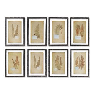 FRAMED VINTAGE FERN PRINTS, SET OF 8