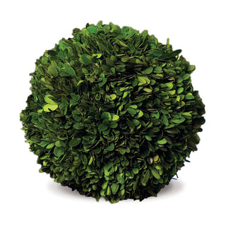 BOXWOOD BALL 10"