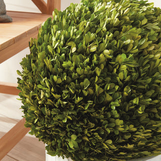 BOXWOOD BALL 16"