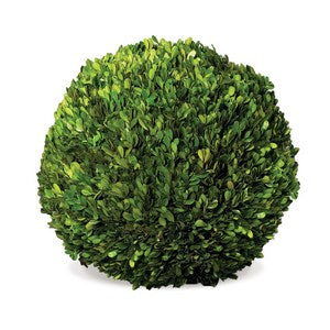 BOXWOOD BALL 16"