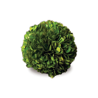 BOXWOOD BALL 4"