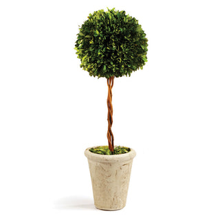 BOXWOOD SINGLE SPHERE TOPIARY 18.5"