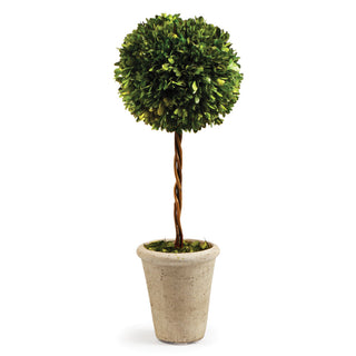 BOXWOOD SINGLE SPHERE TOPIARY 23.25"