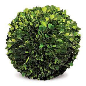 BOXWOOD BALL 8"