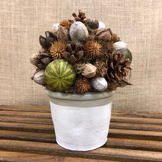 PORTSMITH 10" BALL IN POT