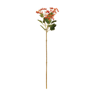 VIBURNUM BERRY BRANCH 30"