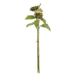 SEEDED SUNFLOWER STEMS 36", BUNDLE OF 2