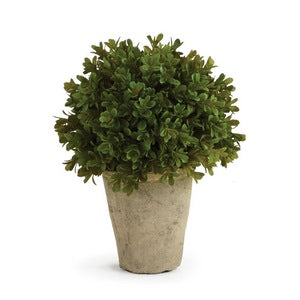 BARCLAY BUTERA FAUX BOXWOOD SHRUB POTTED 9"