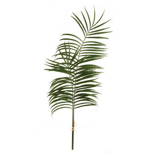 PALM LEAF BRANCHES 47.5", BUNDLE OF 2