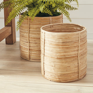 CANE RATTAN ROUND TREE BASKETS, SET OF 2