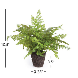 SOFT FERN DROP-IN 10.5"