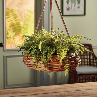 BOSTON FERN RUSTIC DROP-IN 12"