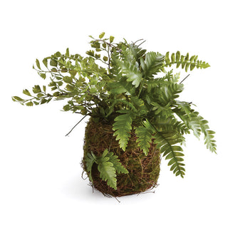 MIXED FERN DROP-IN 8"