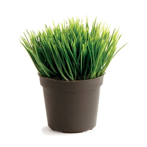 MINI POTTED GRASS 3.5"