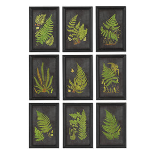 FRAMED FERN BOTANICAL PRINTS, SET OF 9