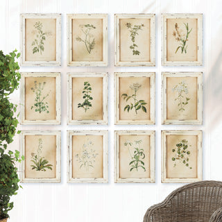 FRAMED WILD FLOWER BOTANICAL PRINTS, SET OF 12