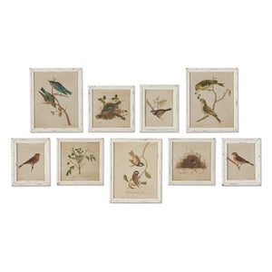 FRAMED AVIARY BIRD & NEST HABITAT PRINTS, SET OF 9