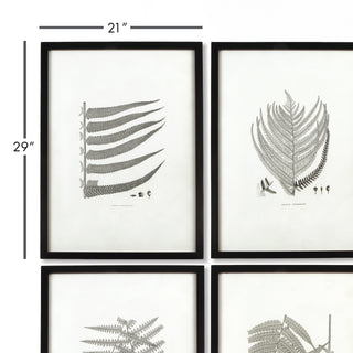 FRAMED GRAY-TONE FERN PRINTS, SET OF 6