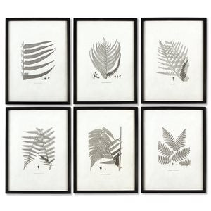 FRAMED GRAY-TONE FERN PRINTS, SET OF 6