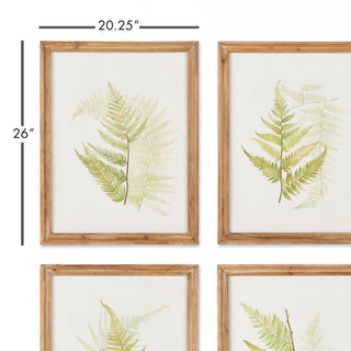 FRAMED FERN STUDY, SET OF 6