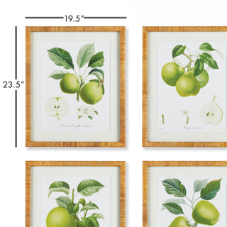 FRUIT STUDY, SET OF 4