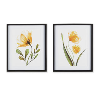 X-RAY BOTANICAL PRINTS, SET OF 2