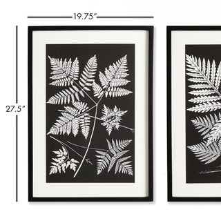 ASSORTED FERN STUDY, SET OF 2