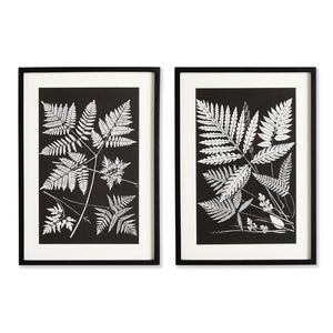 ASSORTED FERN STUDY, SET OF 2