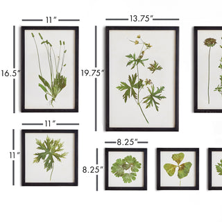 FOLIAGE PRINTS, SET OF 9