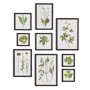 FOLIAGE PRINTS, SET OF 9