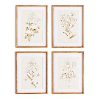 FLEUR DE BLANC PRINTS, SET OF 4