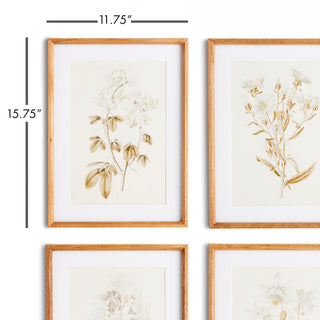 FLEUR DE BLANC PRINTS, SET OF 4