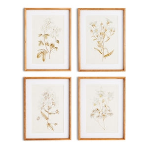 FLEUR DE BLANC PRINTS, SET OF 4