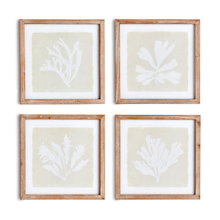 SEAWEED PETITE PRINTS, SET OF 4