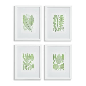 ASSORTED LEAF PRINTS, SET OF 4