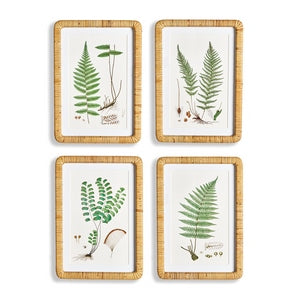 FOREST FERN PRINTS, SET OF 4