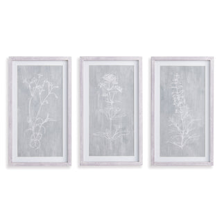 SKETCHED BOTANICAL PRINTS, SET OF 3