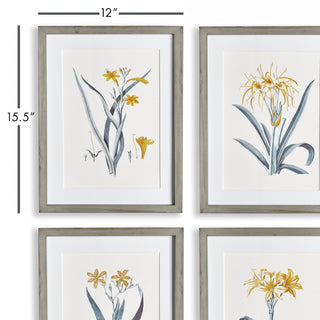 DAFFODIL PRINTS, SET OF 4