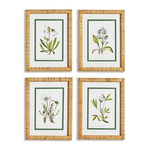 WHITE FLORAL STUDY, SET OF 4