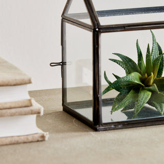 COTTAGE TERRARIUM SMALL