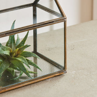 COTTAGE TERRARIUM SMALL