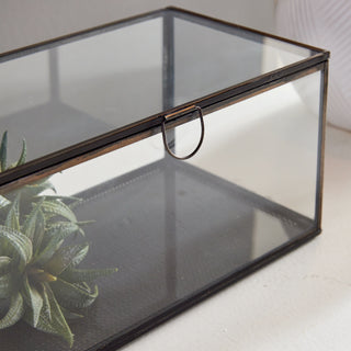 ARWEN RECTANGULAR DISPLAY BOX