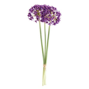 ALLIUM STEMS 19", BUNDLE OF 3