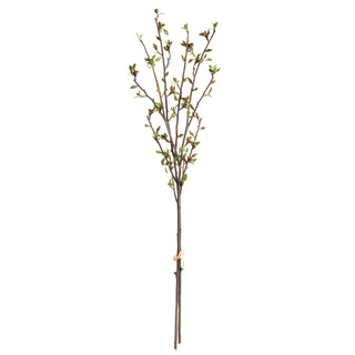 BUDDING BRANCHES 42", BUNDLE OF 2