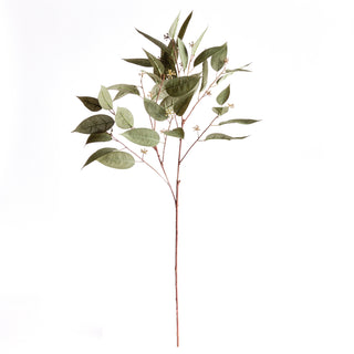 EUCALYPTUS SEED STEM 41"