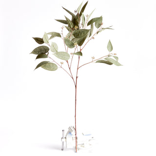 EUCALYPTUS SEED STEM 41"